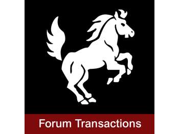 Vente bar brasserie à Nantes centre