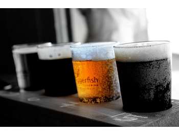 Vente bar licence IV hyper centre ville Nantes