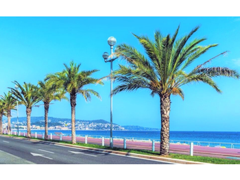 Vente bar brasserie snack 50m² à Nice front de mer