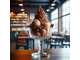 Vente charmante brasserie proche Lille