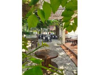 Vente murs et fonds bar restaurant à Oraison
