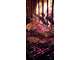 AV restaurant lic IV empl d'exception St Affrique