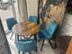 BAR TABAC HYPERCENTRE AVEC LOGEMENT