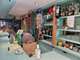 Vente bar Tabac Presse Loto en Savoie axe passant