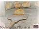 Vend belle boulangerie dans les Alpes Mancelles
