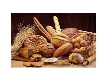 Vente boulangerie pâtisserie prox canal du midi 11