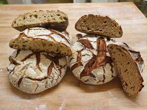 Vente  Boulangerie - P&acirc;tisserie Dordogne