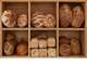 Vente boulangerie artisanale au centre de Toulouse