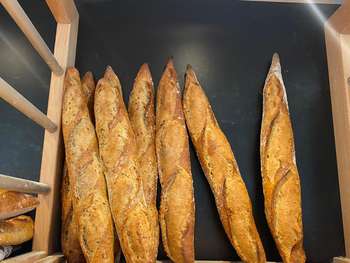 Vente boulangerie pâtisserie terrasse dept Hérault