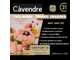 Cède 100 % parts sociales pâtisserie les Rousses