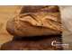 AV boulangerie pâtisserie avec logement en Mayenne