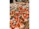 Boulangerie-Pâtisserie-Snacking — CA 2,2 M€, EBE 3