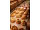 Boulangerie-Pâtisserie-Snacking — CA 2,2 M€, EBE 3
