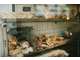 Vente 2 FDC boulangerie snack angles de rues Nice