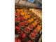 Boulangerie d'exception CA de 2,5 M.€ littoral 66
