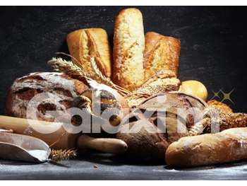Cède boulangerie artisanale emplacement N°1 Rennes