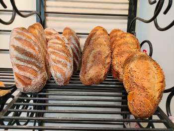 Boulangerie pâtisserie à vendre à Rochefort (17)