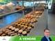 Vente boulangerie/pâtisserie au coeur de Smarves