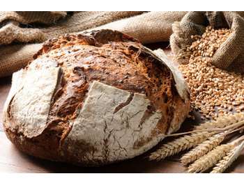 Vente boulangerie-pâtisserie-snacking Landes