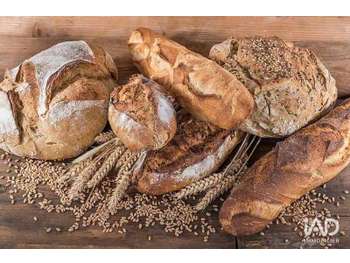 Vente boulangerie en centre village d'Ury