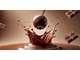 Vente chocolatier d'exception sur Vienne