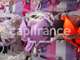 AV boutique de lingerie empl N°1 Douarnenez centre