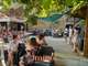 Vente camping **** cœur des baronnies provençales