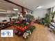 Vente boutique florale à Saint Simeon De Bressieux