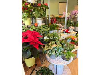 A vendre FDC fleuriste quartier dynamique 94