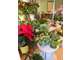 A vendre FDC fleuriste quartier dynamique 94