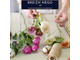 A vendre fleuriste en bord de mer dans le Morbihan