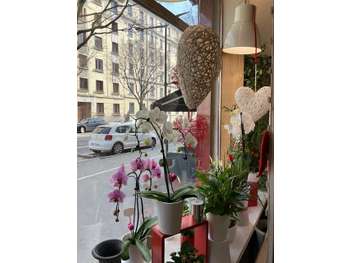 Cède FDC fleurs de 70m² à Lyon 69007 Gerland