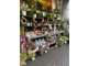 Vente fleuriste traditionnel empl N°1 bis dept 94