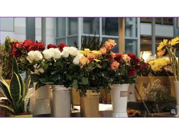 Vente Fleuriste au cœur du Boulonnais