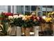 Vente Fleuriste au cœur du Boulonnais