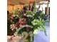 EXCLUSIVITÉ vente FDC magasin de fleurs bresse