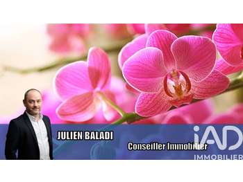 Vente FDC de fleurs à Corlay empl de 1er choix
