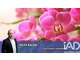Vente FDC de fleurs à Corlay empl de 1er choix