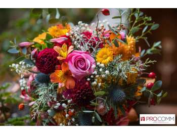 FDC fleuriste à vendre proche de Fontoy