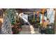 Vente fonds et murs fleuriste + immeuble à Gerzat