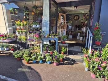 A vendre FDC fleuriste à Giberville axe passant