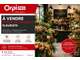 A vendre FDC fleuriste en centre-ville 22