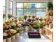 Vente affaire fleuriste en Pyrénées-Orientales