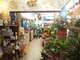 Fleuriste et point retrait colis centre ville 34