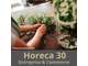 Fleuriste et point retrait colis centre ville 34