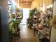 Fleuriste et point retrait colis centre ville 34