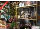 Vente FDC fleurs déco et accessoires à Saint Leu
