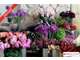 Vente FDC fleurs déco et accessoires à Saint Leu