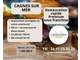 AV restauration rapide premium sous franchise 06