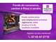 A vendre FDC camion de pizzas rentable à Grenoble